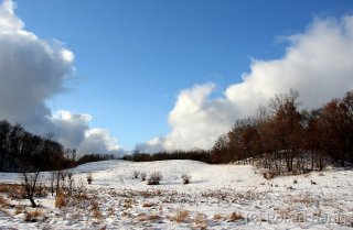 Barry County Snowscape